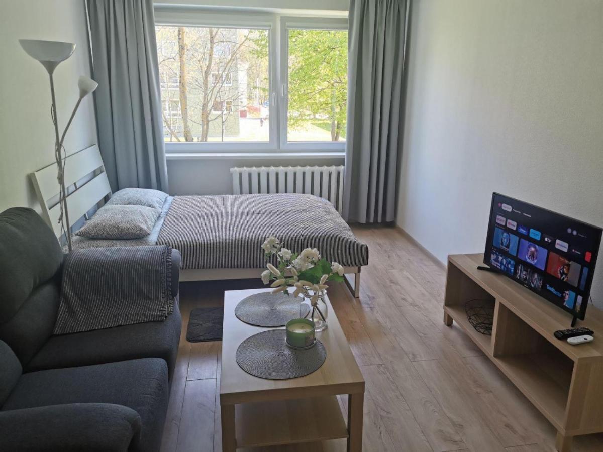 Modern Studio Debreceno, Self-Check-In, Free Parking Klaipėda Extérieur photo